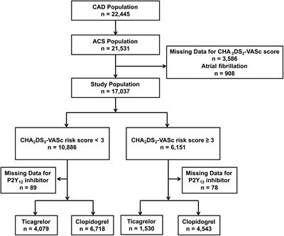 Impact of Ticagrelor vs. Clopidogrel in Patients With Acute Coronary Syndrome Undergoing Percutaneous Coronary Intervention After Risk Stratification With the CHA2DS2-VASc Score